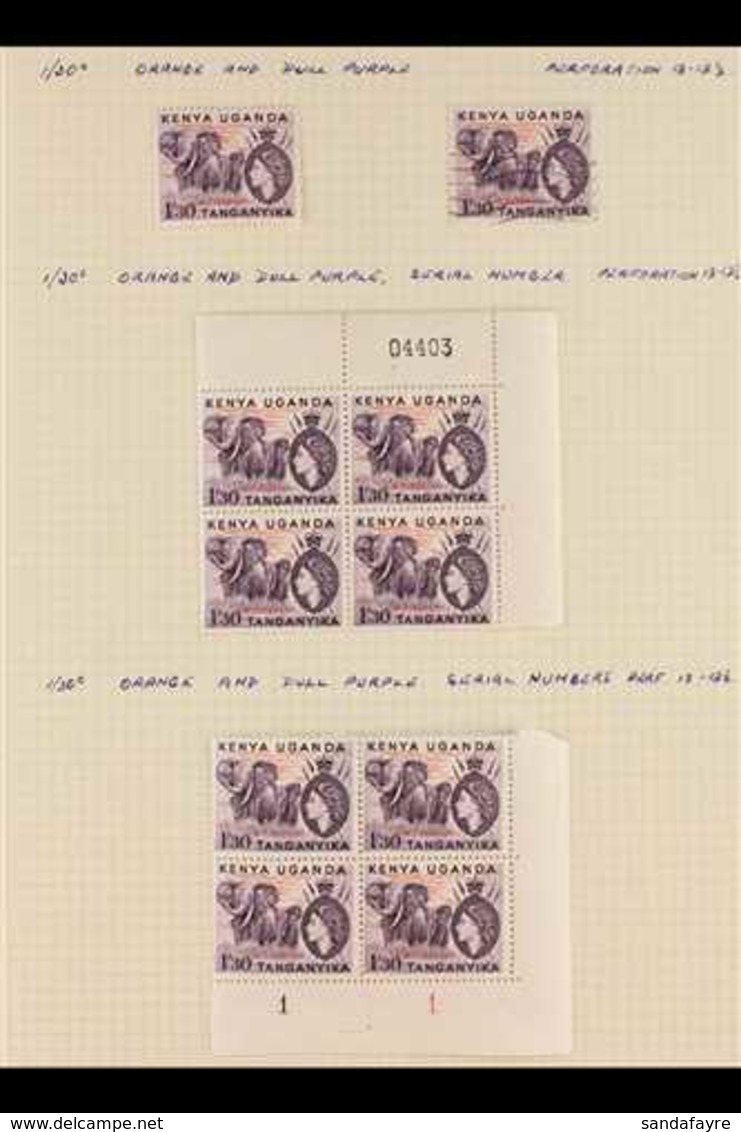 1954-1963 INTERESTING COLLECTION  With Some Specialization Such As Multiples, Plate Blocks & Retouches Written Up On Lea - Vide