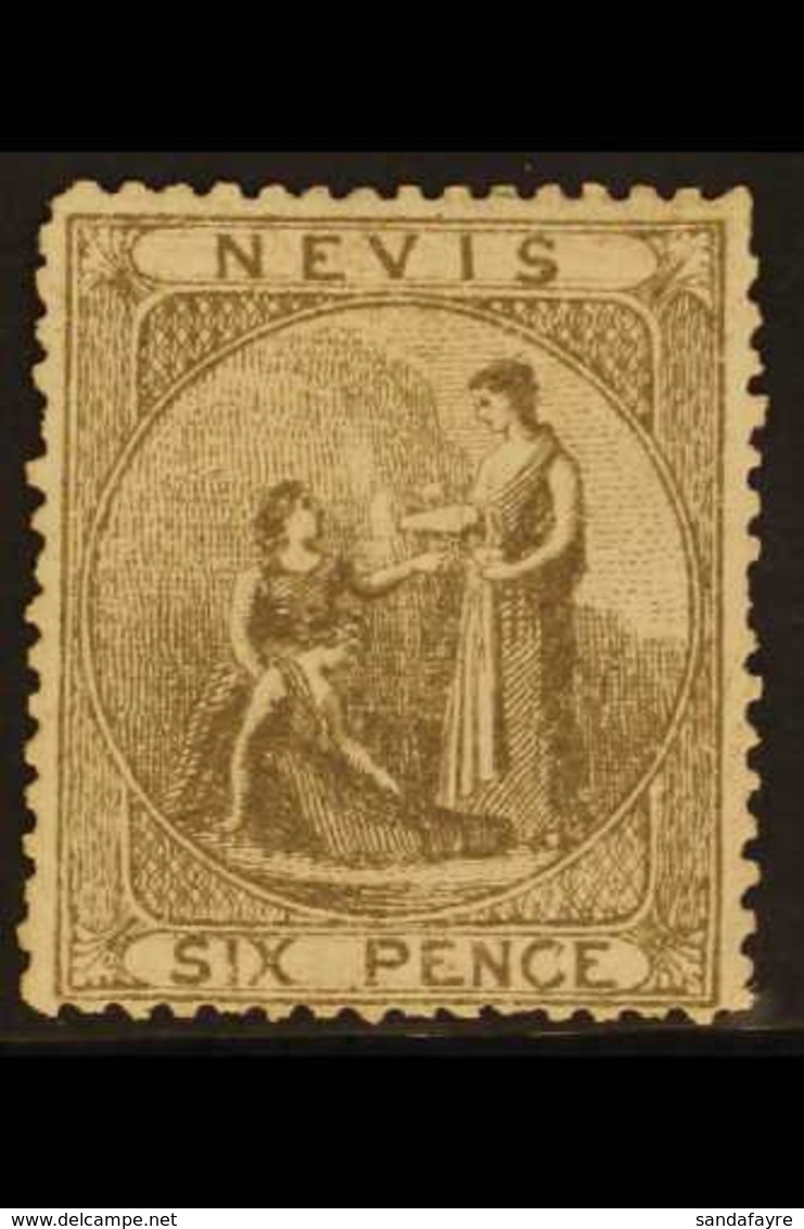 1878  6d Grey, SG 19, Fresh Unused Without Gum. For More Images, Please Visit Http://www.sandafayre.com/itemdetails.aspx - St.Christopher, Nevis En Anguilla (...-1980)