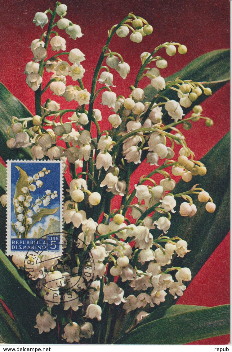 Saint Marin Carte Maximum Fleurs 1957 Muguet 431 - Lettres & Documents