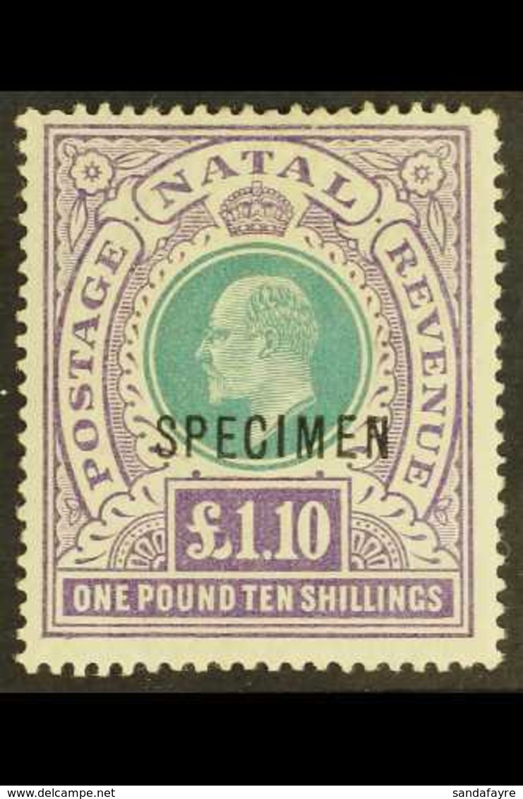 NATAL  1902 £1.10 Green And Violet Opt'd "SPECIMEN", SG 143s, Very Fine Mint. For More Images, Please Visit Http://www.s - Sin Clasificación