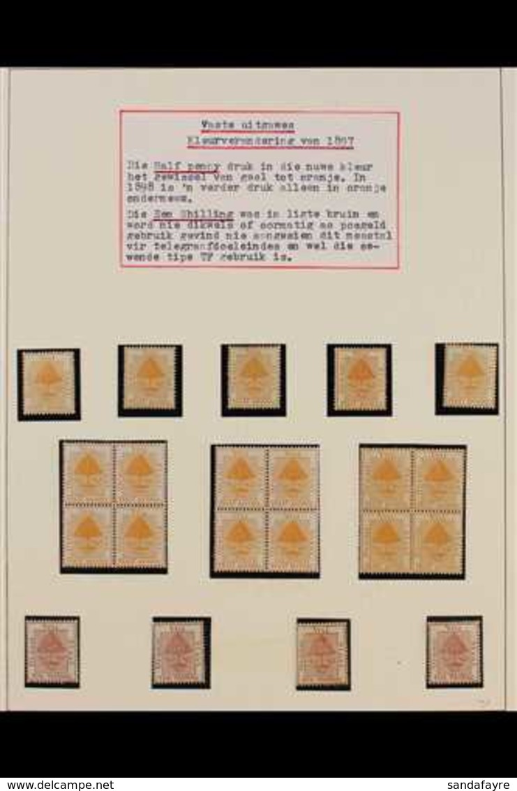 ORANGE FREE STATE  1897 MINT COLLECTION In Hingeless Mounts On Pages, Includes 1897 ½d (x41, Incl Three Blocks Of 4 And  - Zonder Classificatie