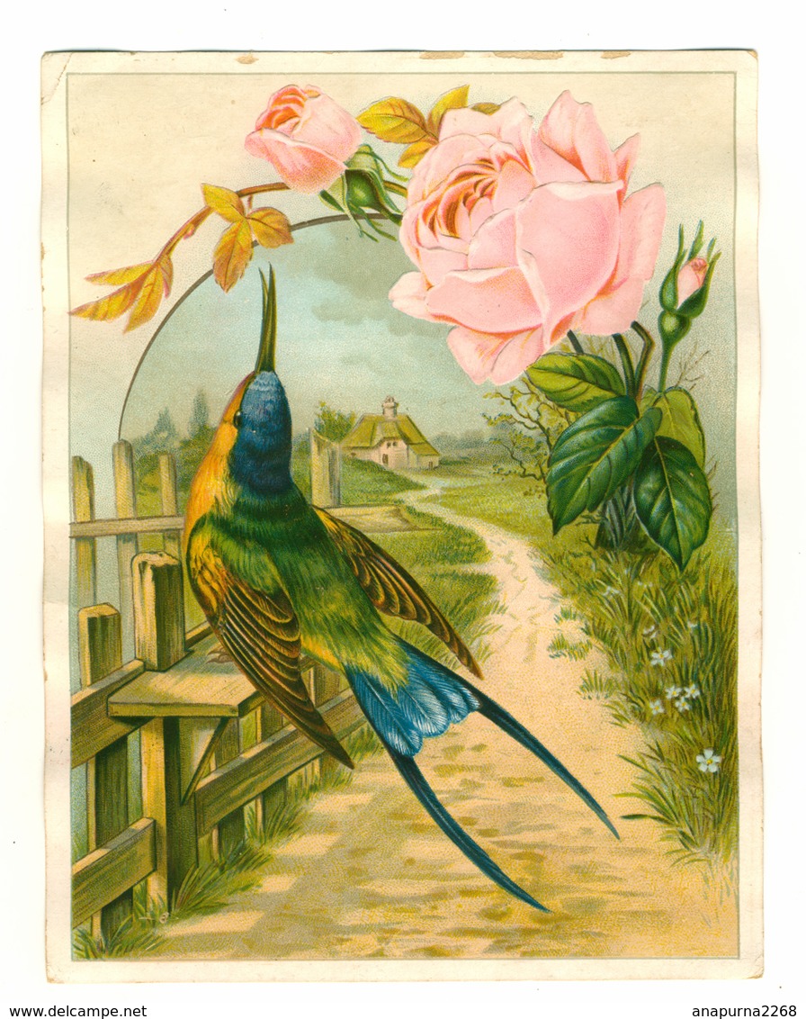 GRAND FORMAT....CHROMO LITHOGRAPHIE....GAUFREE.......ROSE ROSE..... OISEAU - Autres & Non Classés