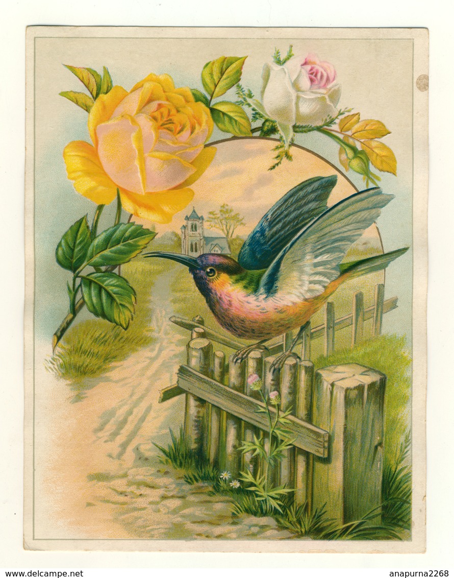 GRAND FORMAT....CHROMO LITHOGRAPHIE....GAUFREE.......ROSE JAUNE..... OISEAU - Autres & Non Classés