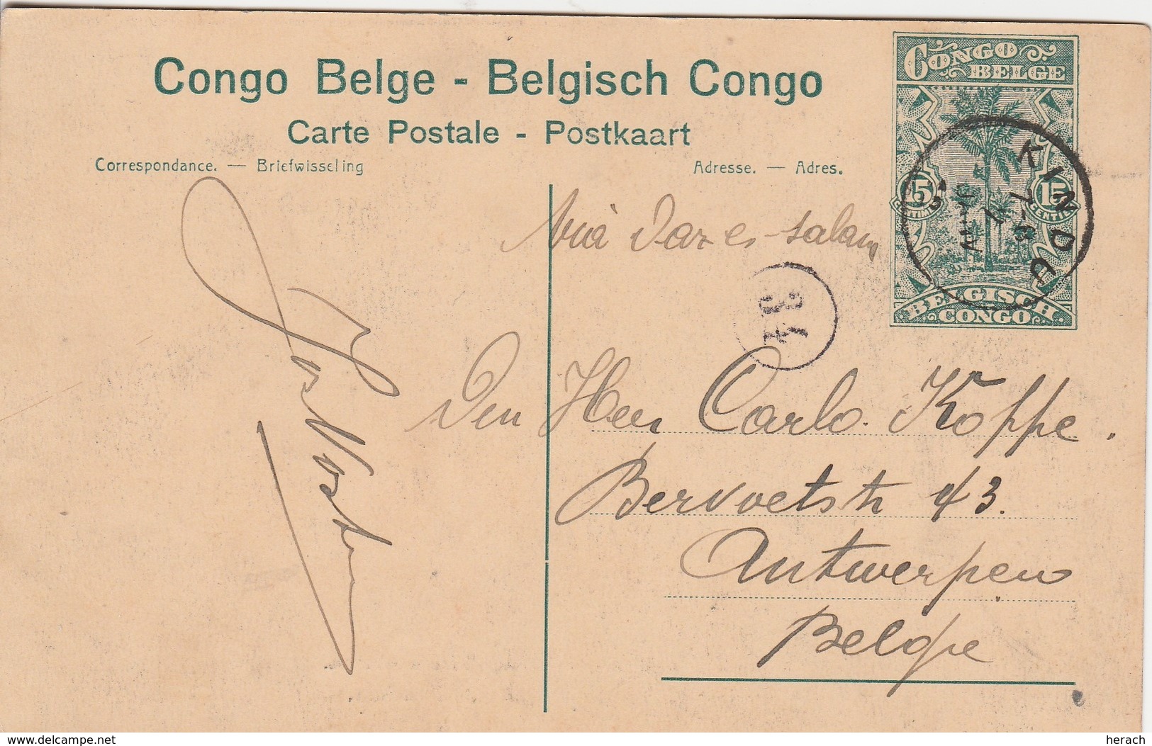 Congo Belge Entier Postal Illustré Pour La Belgique - Entiers Postaux