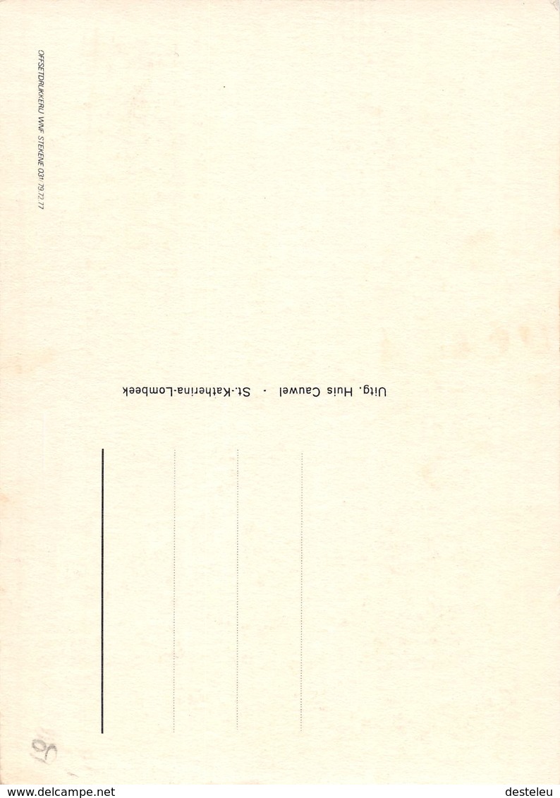 Groeten Uit Sint-Katherina-Lombeek - Ternat