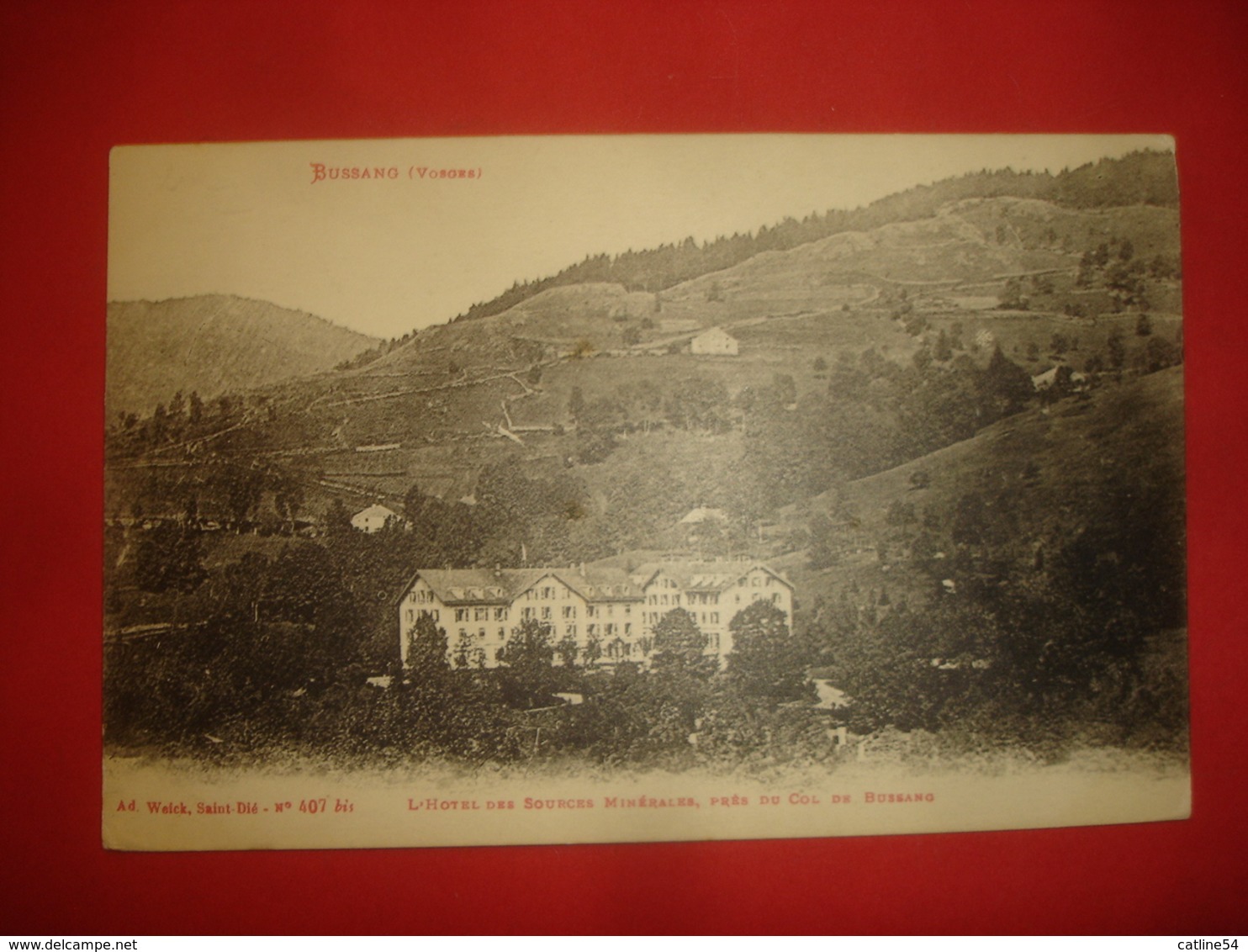 N°0738 VOSGES 88. BUSSANG. L’HOTEL DES SOURCES MINERALES PRES DU COL DE BUSSANG. - Bussang