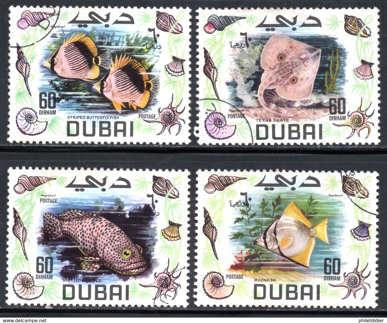 DUBAI - POISSONS - Dubai