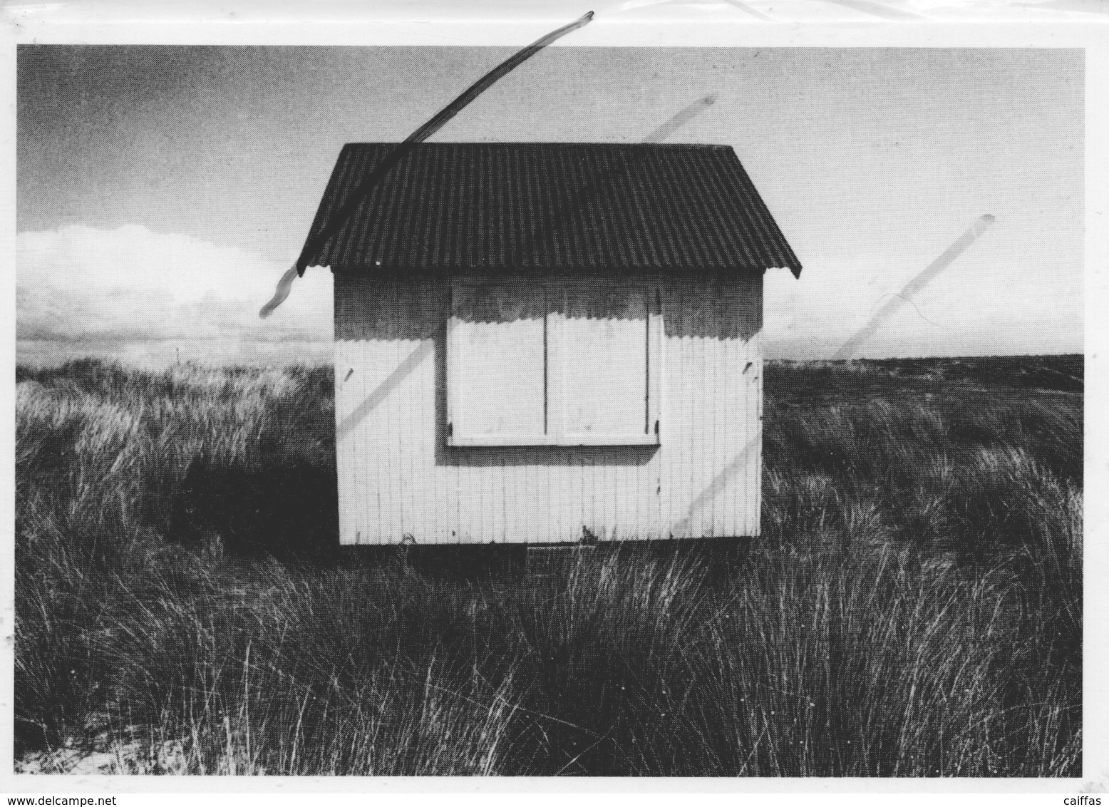 CABANE EN  BORD DE MER  (coutainville-blainville )   PHOTO ALAIN BRIANT - Autres & Non Classés