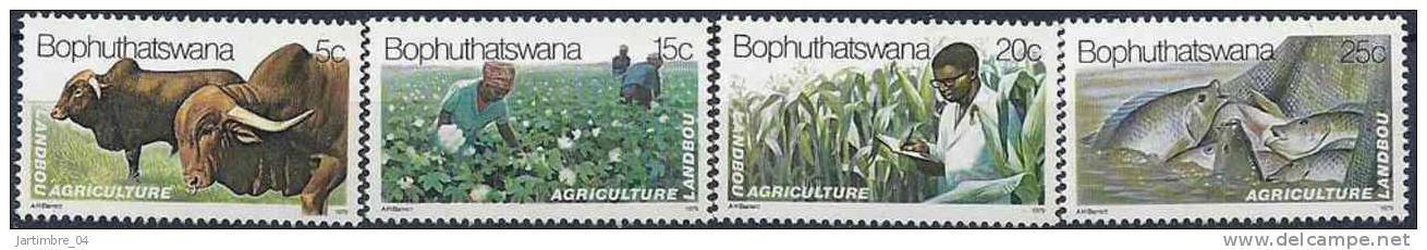 1979 BOPHUTHATSWANA Afrique Sud 51-54** Bétail, Coton, Maïs, Pêche, Poissons - Bophuthatswana
