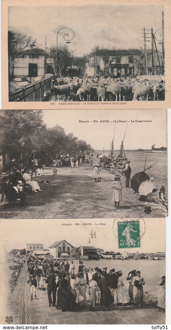 3 CPA:AGDE (34) LE GRAU ANIMÉ,LA TAMARISSIÈRE,TROUPEAU DE MOUTONS SUR LE PONT DE L' AVENUE DE LA GARE - Agde