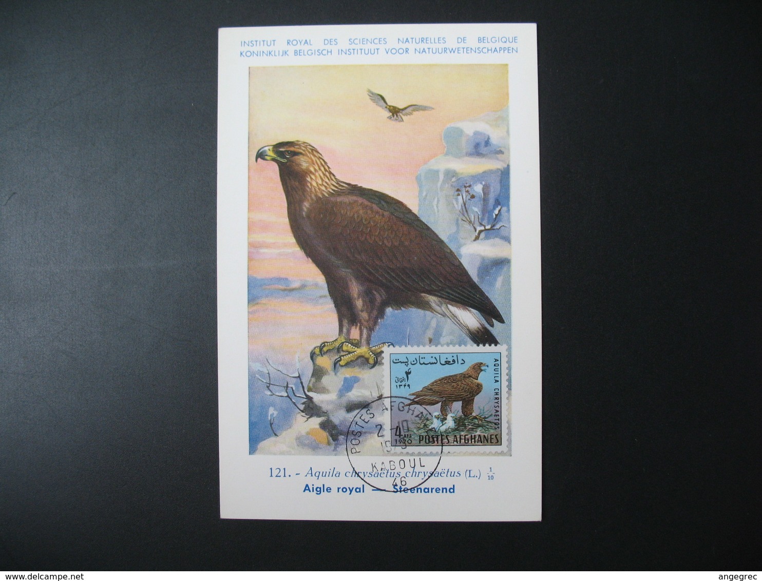 Carte Maximum Card Maximum Oiseaux Vogels Aigle Royal  Postes Afghanes Kaboul 1946 Musée Royal D'Histoire Naturelles - Aigles & Rapaces Diurnes