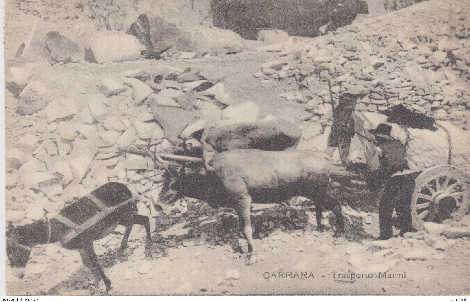 CARTOLINA - CARRARA - TRASPORTO MARMI - VIAGGIATA 1917 - BELLA !!! - Carrara