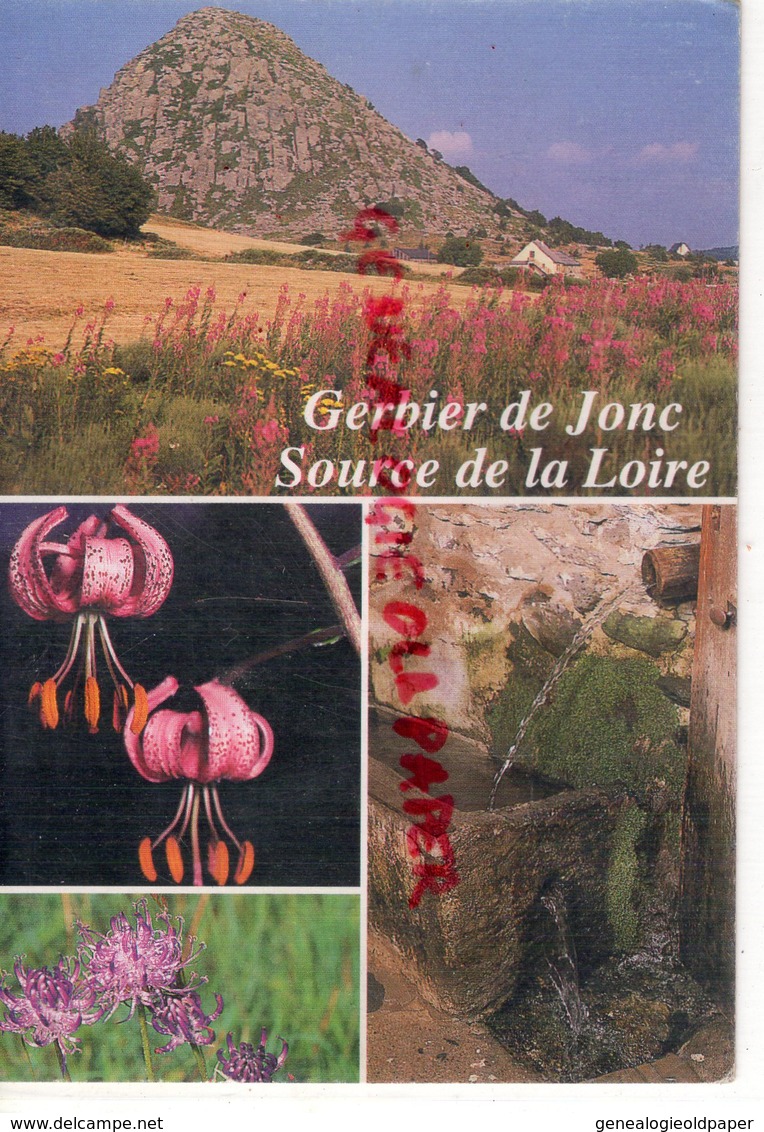 07- MONT GERBIER DE JONC- SOURCE DE LA LOIRE-LYS MARTAGON-RAIPONCE- ARDECHE - Sonstige & Ohne Zuordnung