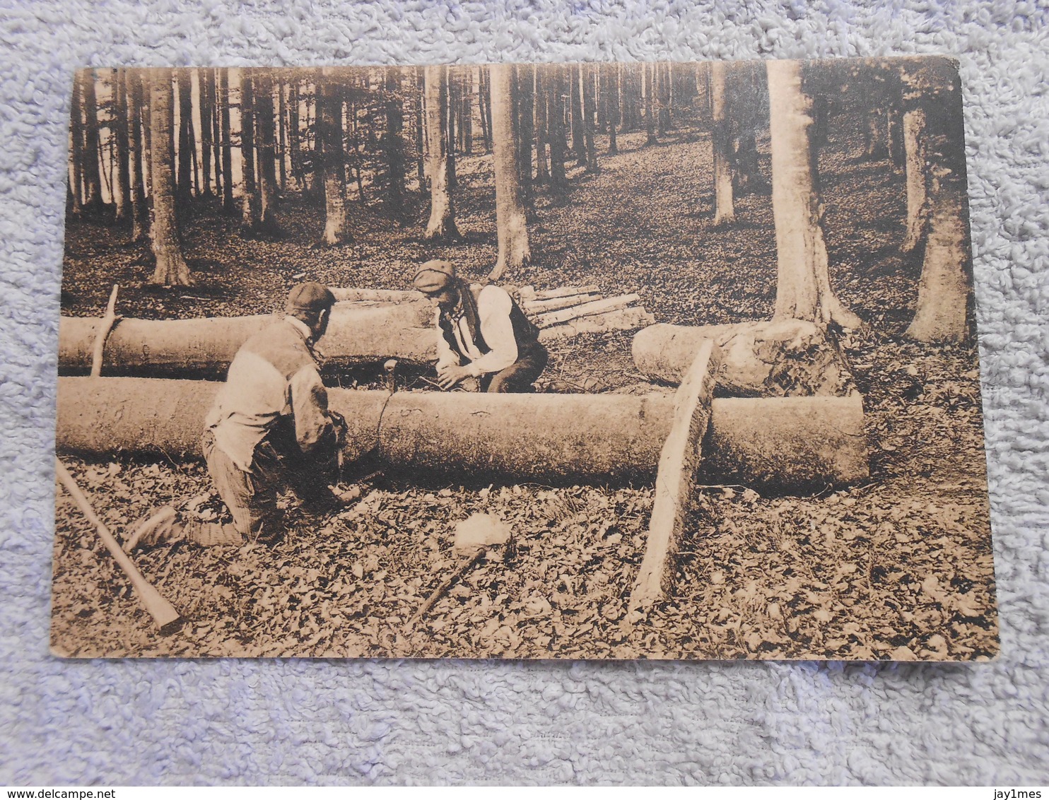 2 Cpa Tervueren Tervuren, Quatre Bras Travailleurs Bucheron - Tervuren