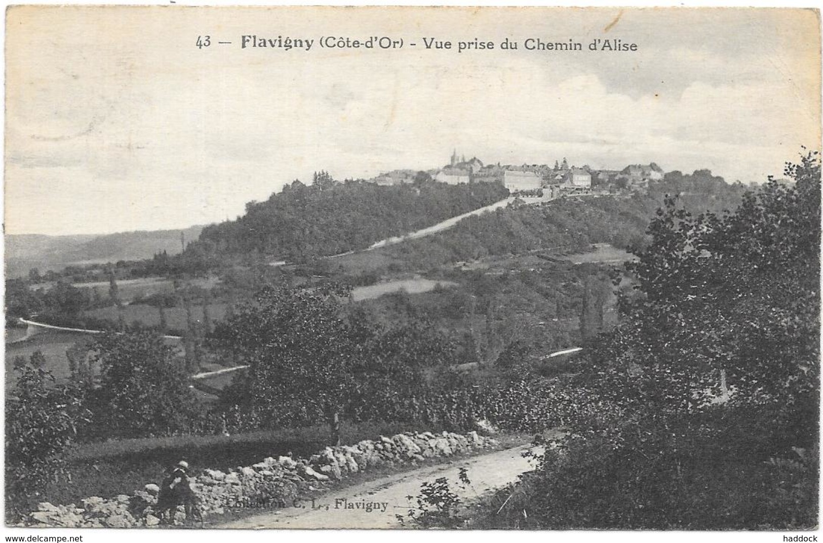 FLAVIGNY: VUE PRISE DU CHEMIN D'ALISE - Autres & Non Classés