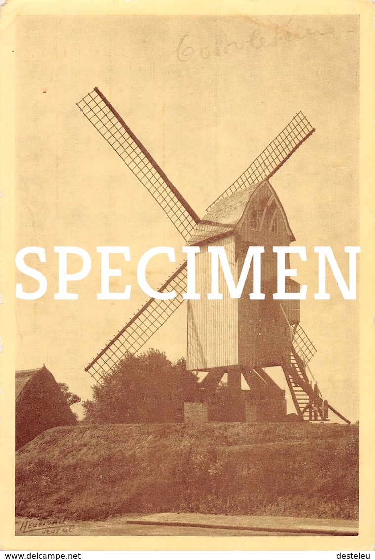 Molen - Oostvleteren Repro - Vleteren