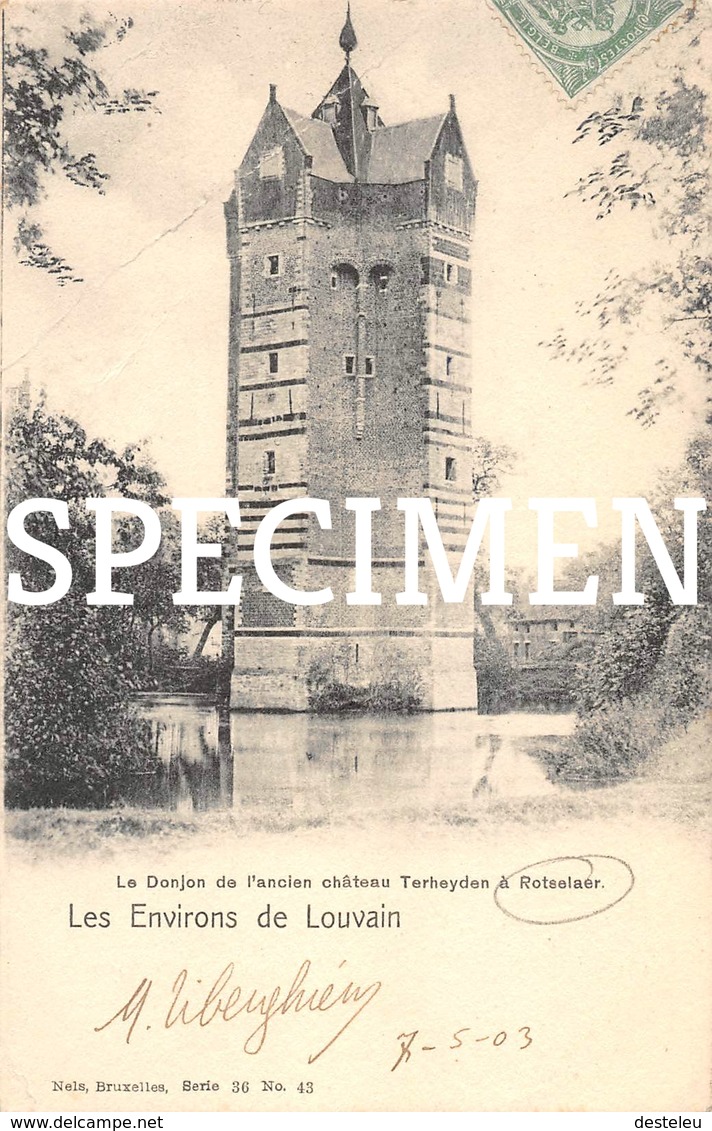 Le Donjon De L'ancien Château Terheyden - Rotselaar - Rotselaar