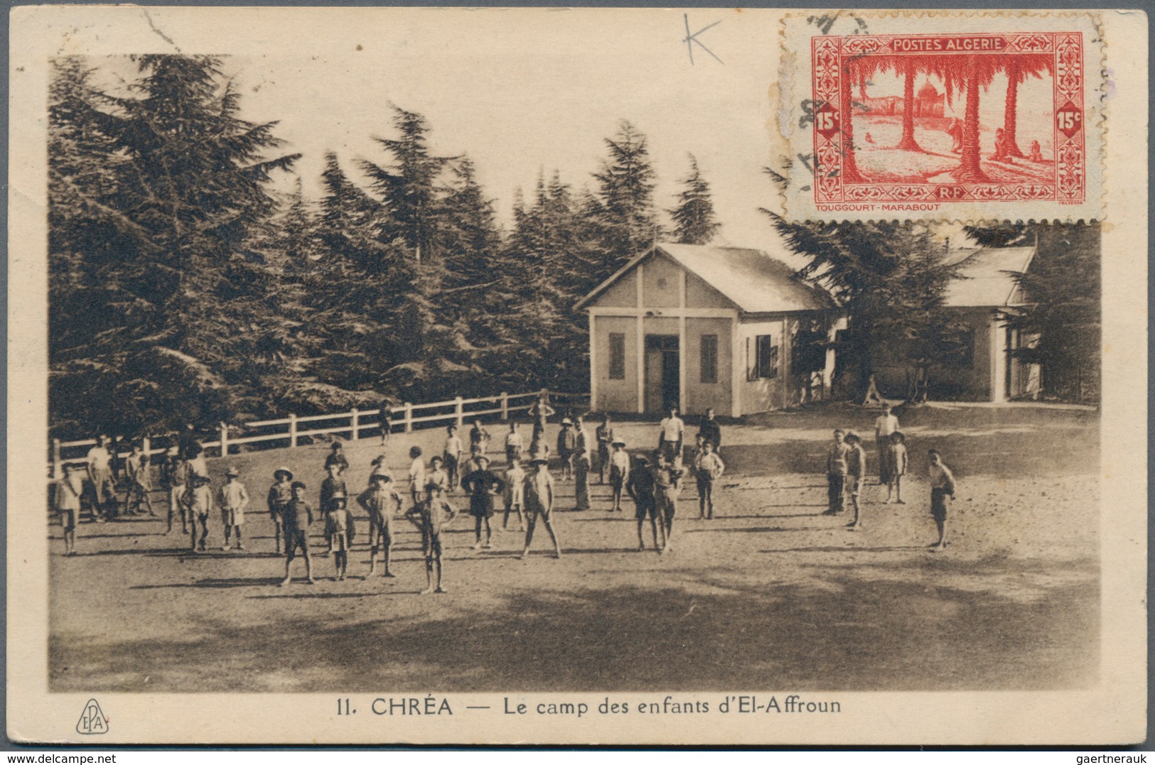 Algerien: 1900/1960, Box With Approx. 800 Historical Postcards With A Minor Part Of Cards Printed Af - Storia Postale