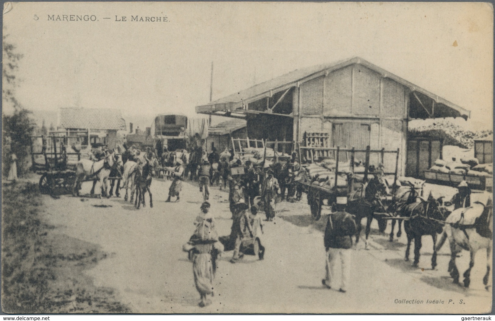 Algerien: 1900/1960, Box With More Then 800 Historical Postcards With A Minor Part Of Cards Printed - Storia Postale