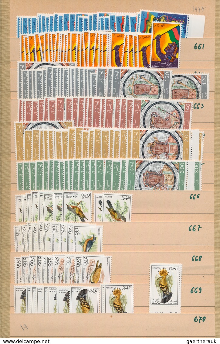 Algerien: 1962/1994, Comprehensive Almost Exclusively MNH Stock In Two Thick Albums With Plenty Of M - Lettres & Documents