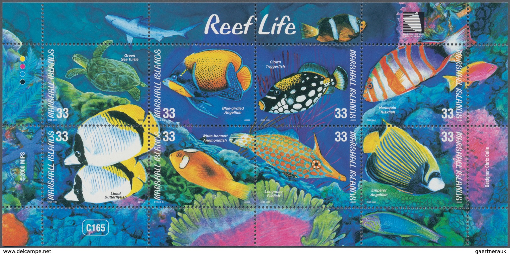 Australien: 1958/2013, Australia And Oceania, Very Nice Collection On Stockcards With Many Beautiful - Collections