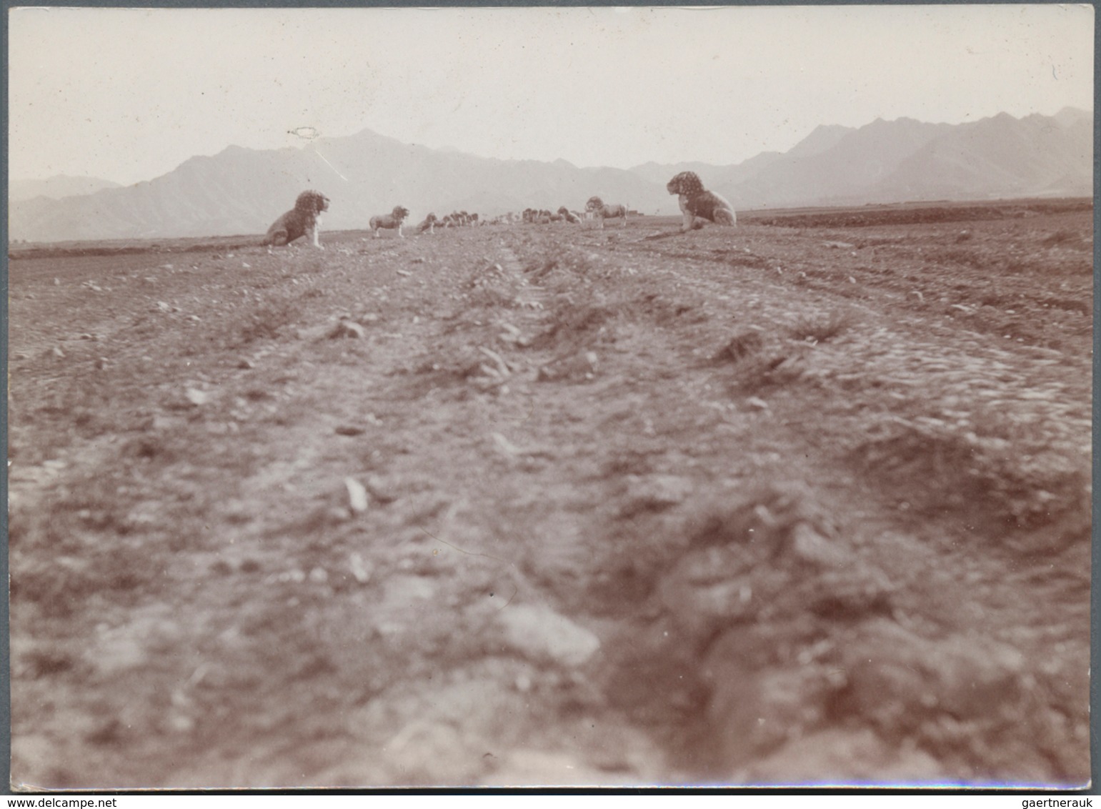 China: 1905/14 (ca.), 21 privately taken photographs of Nanking and surroundings inc. Ming burials o