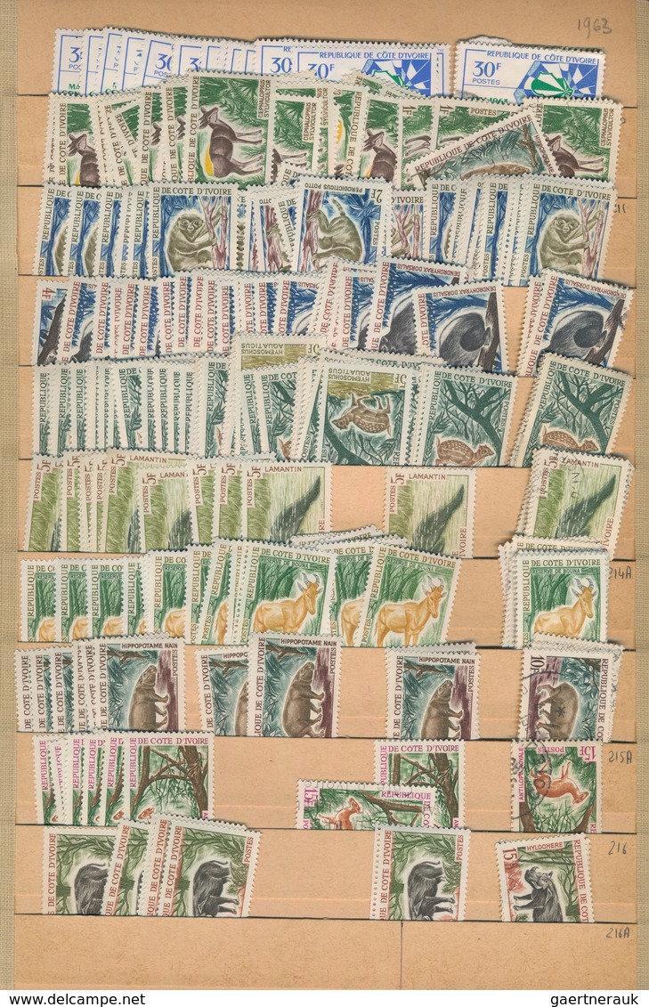 Elfenbeinküste: 1962/1993, Comprehensive And Almost Exclusively MNH Stock In Two Thick Albums With P - Côte D'Ivoire (1960-...)