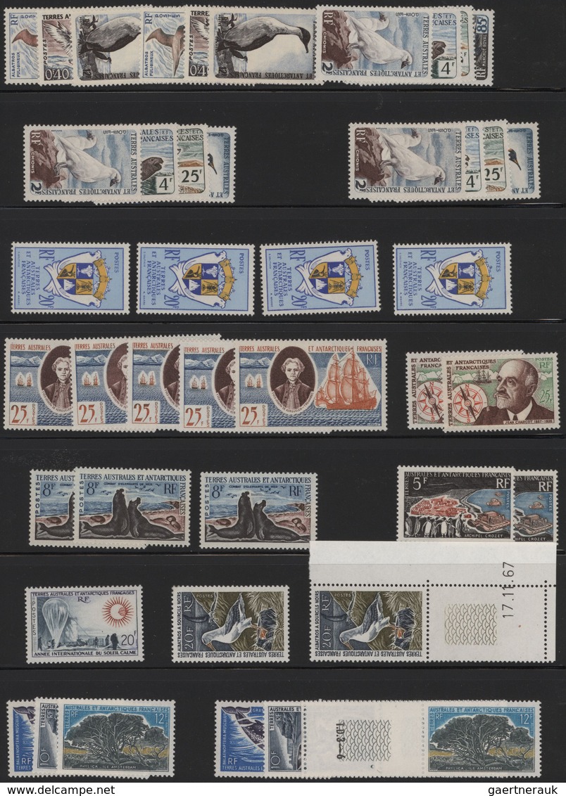 Französische Gebiete In Der Antarktis: 1955/1987, Comprehenisve MNH Accumulation On Stocksheets (onl - Cartas & Documentos