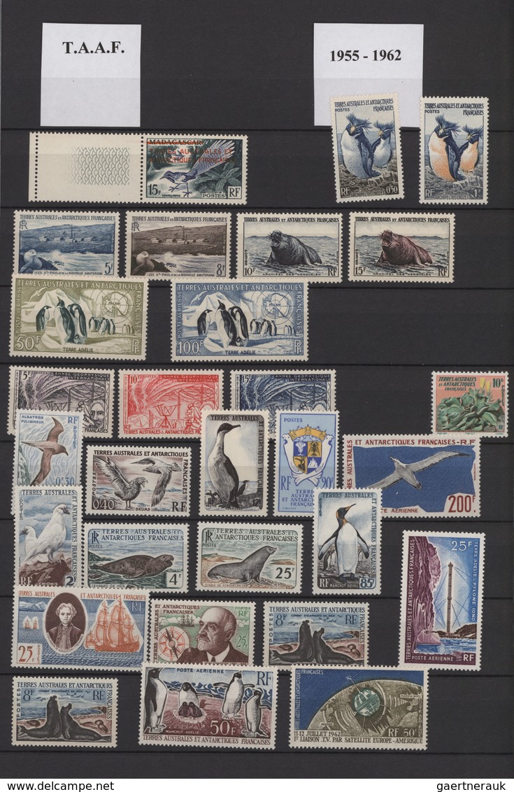 Französische Gebiete In Der Antarktis: 1955/2014, MNH Collection In A Stockbook, Appears To Be Compl - Briefe U. Dokumente