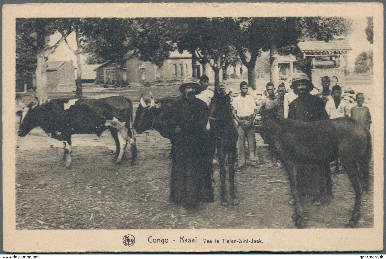 Kongo (Brazzaville): 1900/1960, Box With More Then 400 Historical Postcards With Only A Small Part O - Andere & Zonder Classificatie