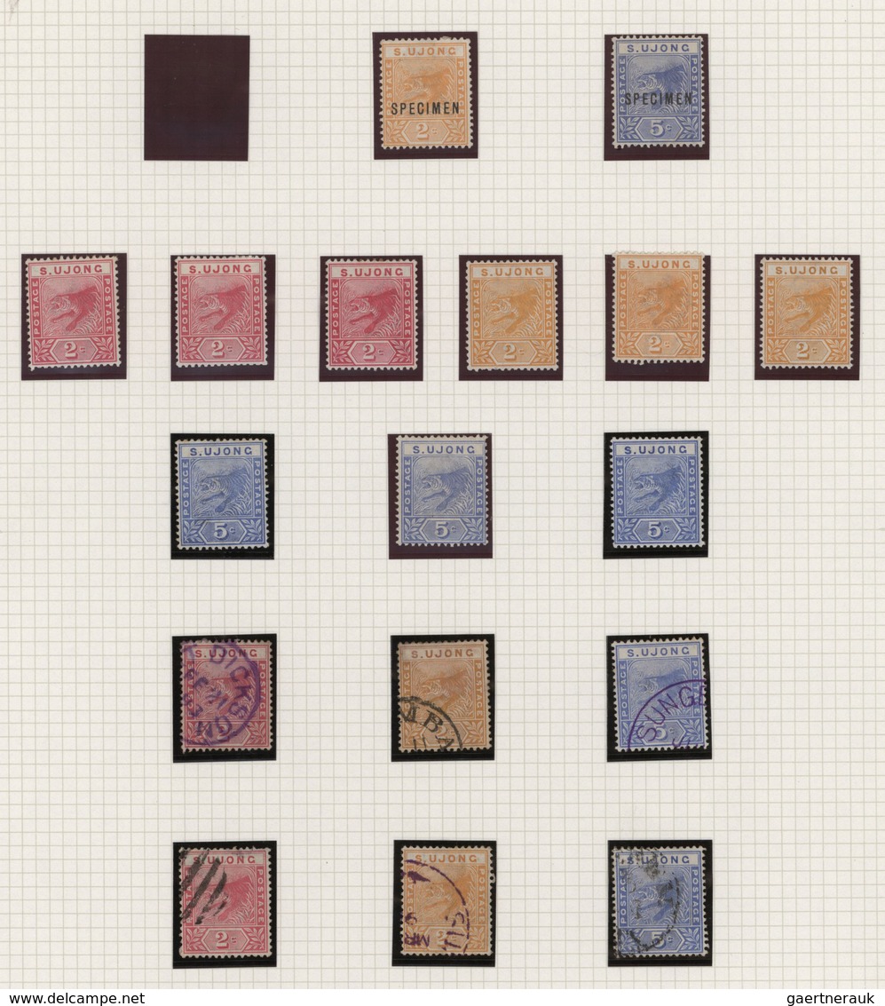 Malaiische Staaten - Sungei Ujong: 1891/1895, "Tiger" Issue, Specialised Collection Of 66 Stamps On - Otros & Sin Clasificación