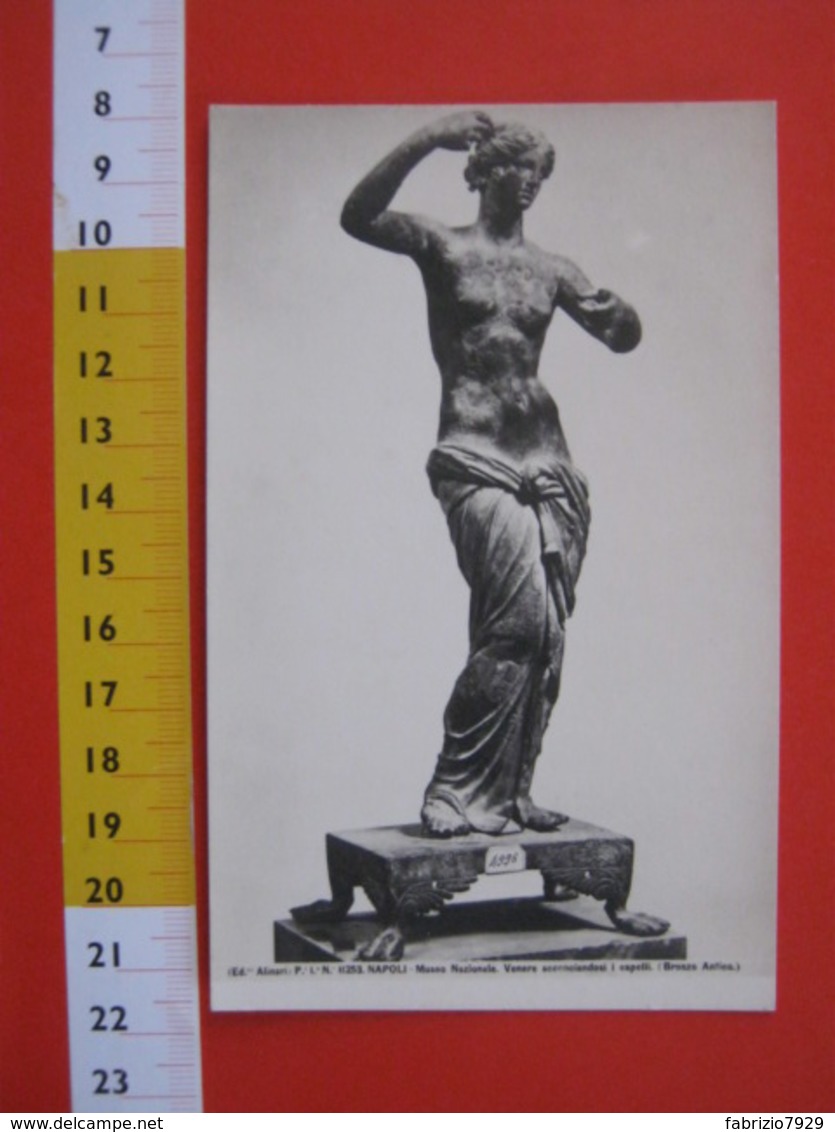 CA.16 ITALIA CARTOLINA CARD - 1910 FOTOGRAFICA NAPOLI MUSEO NAZIONALE SCULTURA BRONZO VENERE SI ACCONCIA CAPELLI - Sculture