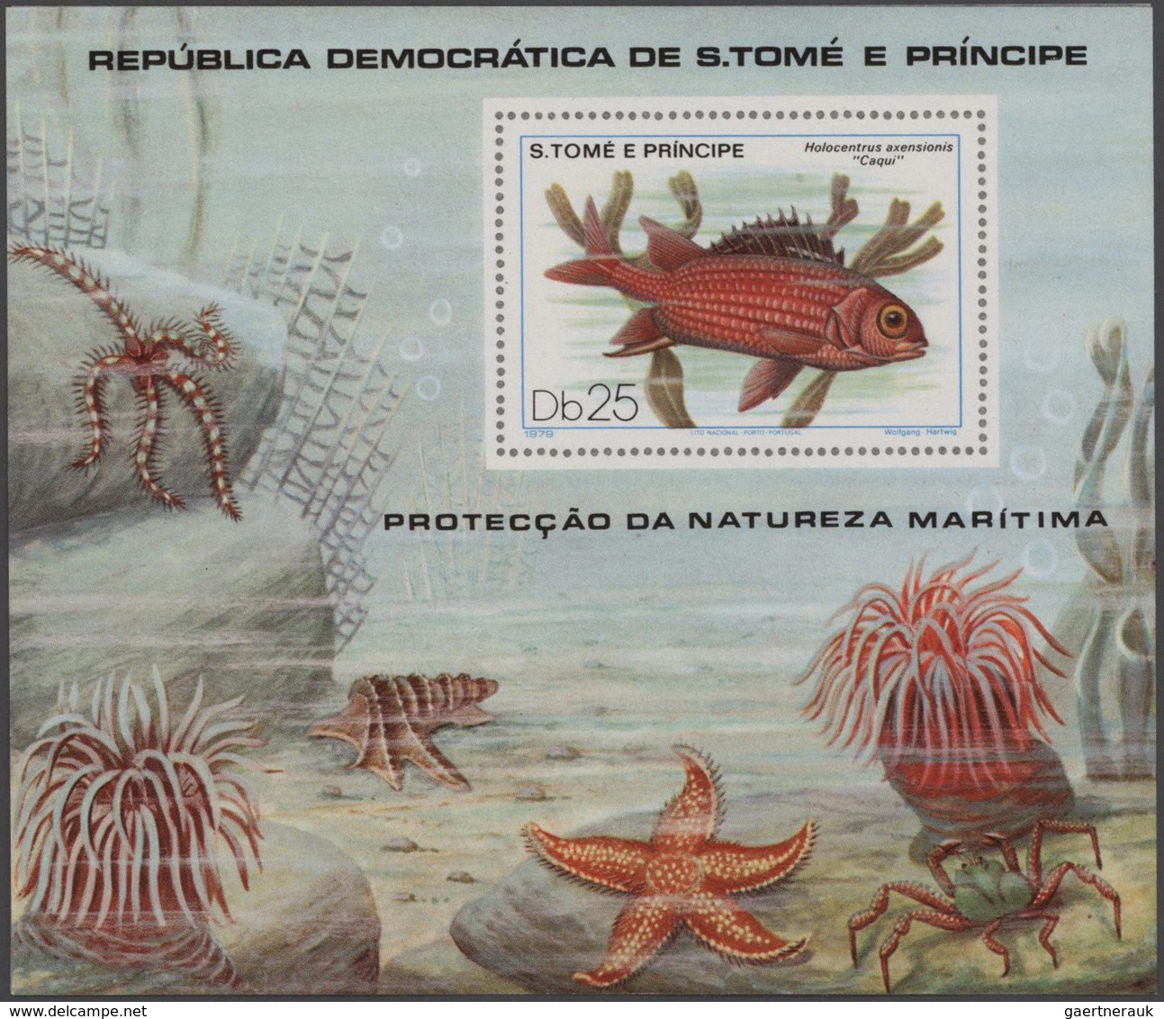 St. Thomas Und Prinzeninsel - Sao Thome E Principe: 1979, FISHES, Complete Set Of Six In Complete Sh - Sao Tome Et Principe