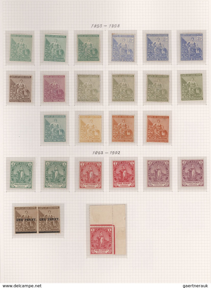 Kap Der Guten Hoffnung: 1864/1904, A Splendid Mint And Used Collection Of Apprx. 312 Stamps, Neatly - Kaap De Goede Hoop (1853-1904)