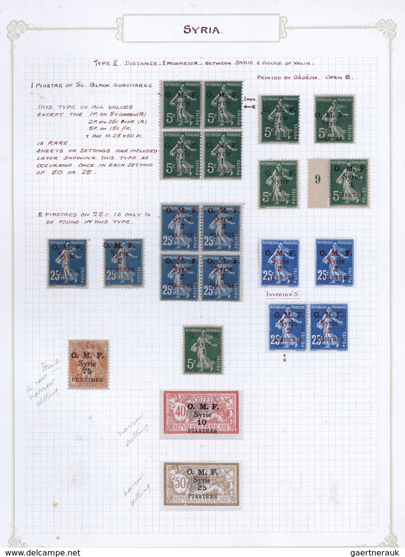 Syrien: 1920/1924, Specialised Collection Of Apprx. 220 Overprint Stamps Arranged On Written Up Albu - Syrië