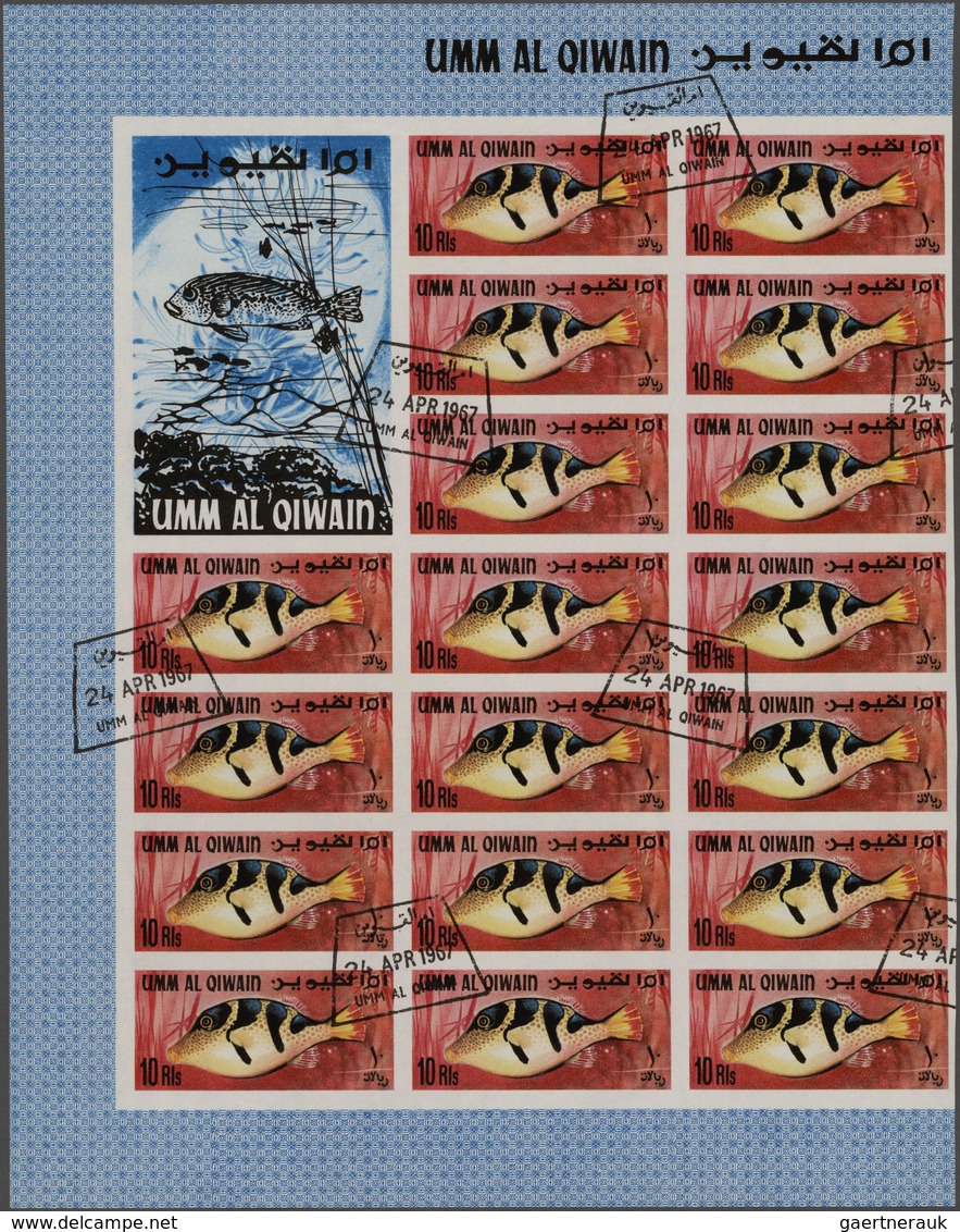 Umm Al Qaiwain: 1965/1969 (ca.), Enormous Stock Of Used Perforated And Imperforated Stamps With Hund - Umm Al-Qiwain