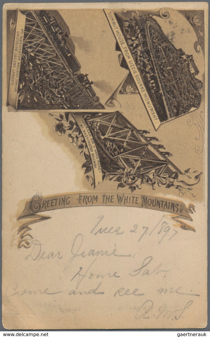 Vereinigte Staaten Von Amerika - Ganzsachen: 1894 Holding From A Specialized Collector Of Ca. 310 Us - Andere & Zonder Classificatie