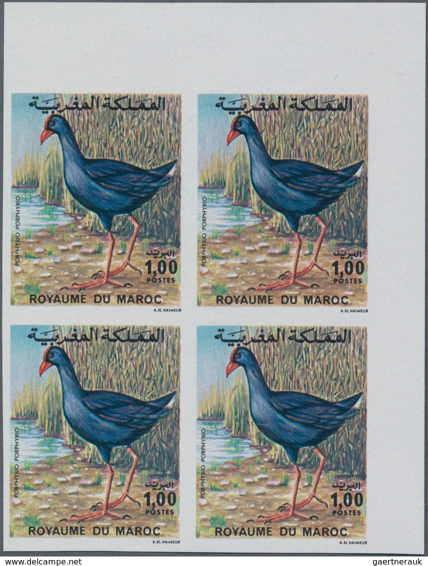 Afrika: 1900/1980 (ca.), Accumulation On Stockcards Or In Glassines In Box With Stamps Through The C - Autres - Afrique
