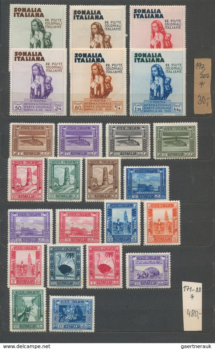 Italienische Kolonien: 1929/1936, Mint Collection In A Stockbook, Comprising General Issues, Libya/a - Algemene Uitgaven