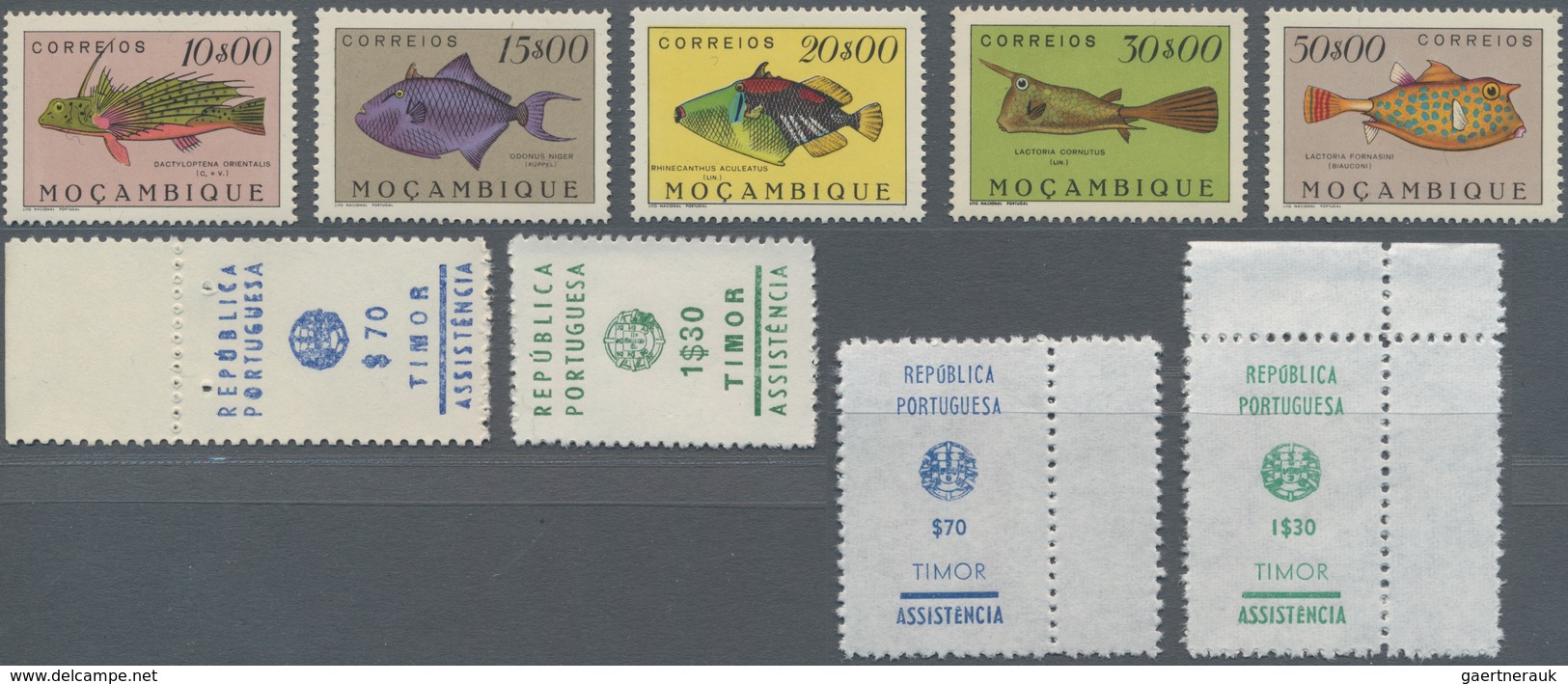 Portugiesische Kolonien In Afrika: 1938/1975, Beautiful Mint Never Hinged Collection Of The Portugue - Congo Portoghese