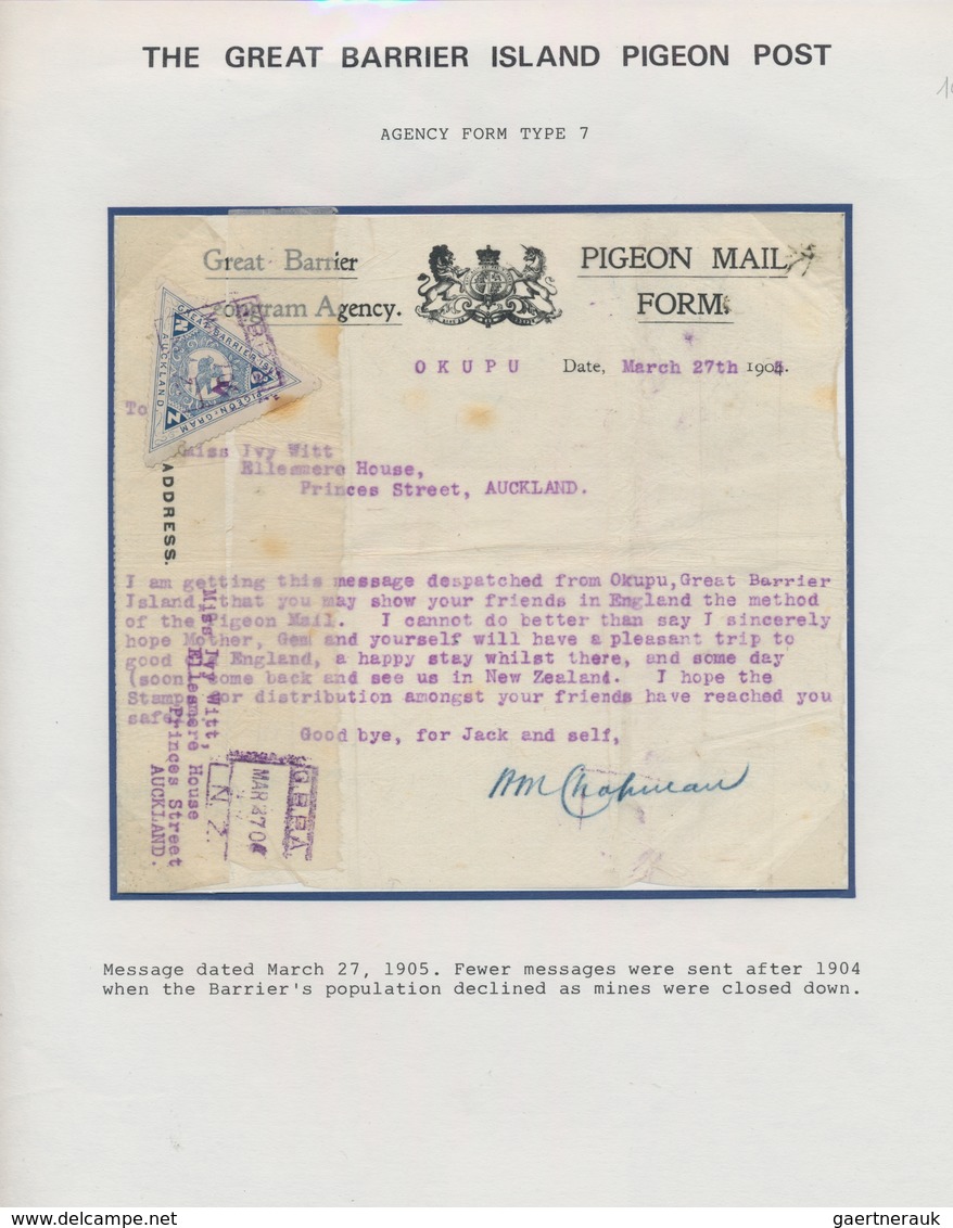 Brieftaubenpost: 1899/1904, NEW ZEALAND "THE GREAT BARRIER ISLAND PIGEON MAIL", Extraordinary And De - Duiven En Duifachtigen