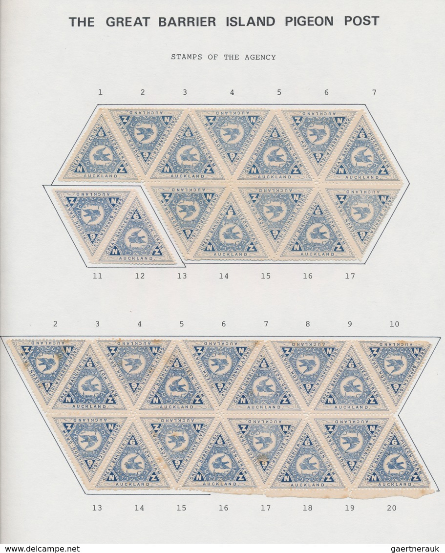 Brieftaubenpost: 1899/1904, NEW ZEALAND "THE GREAT BARRIER ISLAND PIGEON MAIL", Extraordinary And De - Pigeons & Columbiformes