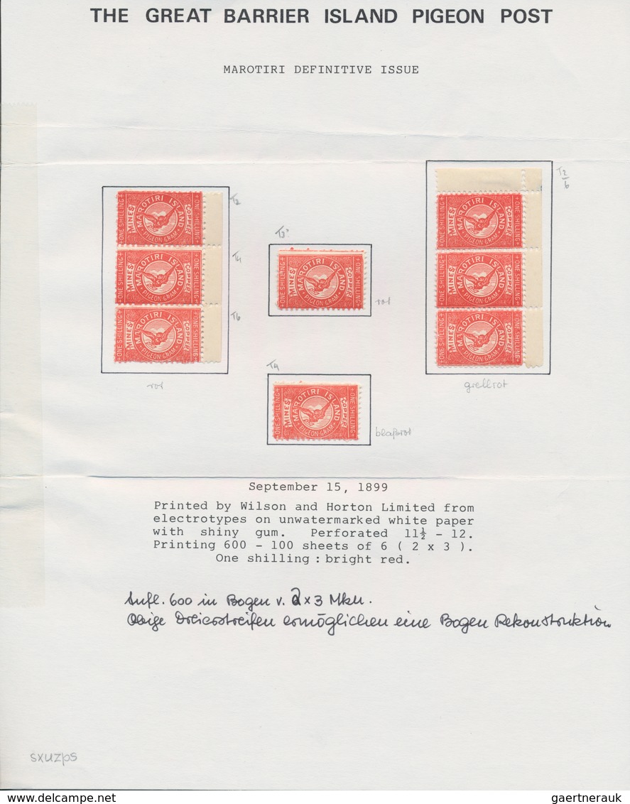 Brieftaubenpost: 1899/1904, NEW ZEALAND "THE GREAT BARRIER ISLAND PIGEON MAIL", extraordinary and de