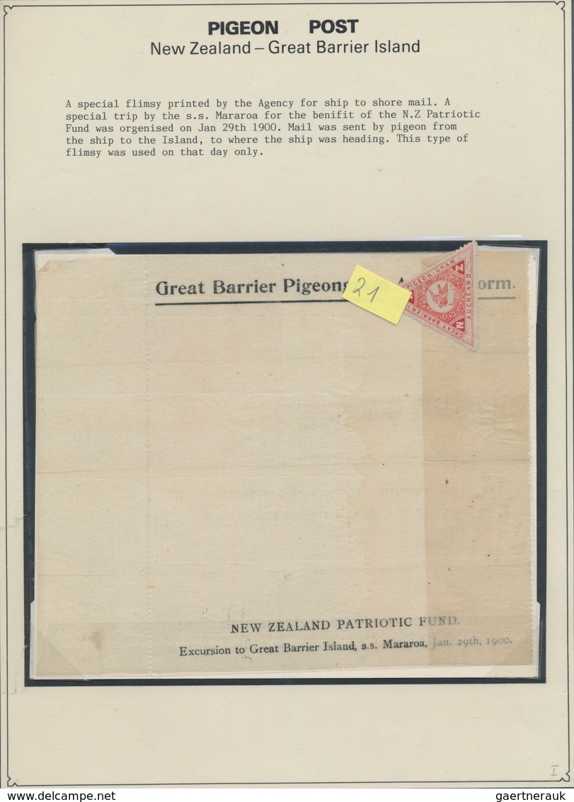 Brieftaubenpost: 1899/1904, NEW ZEALAND "THE GREAT BARRIER ISLAND PIGEON MAIL", extraordinary and de