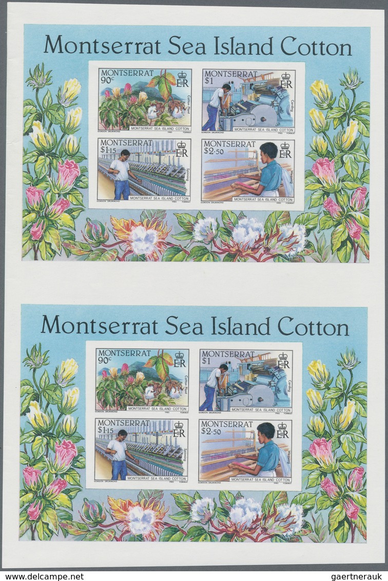 Thematische Philatelie: 1985/1986, Montserrat. Big stock of imperforate proof progressive stamps and