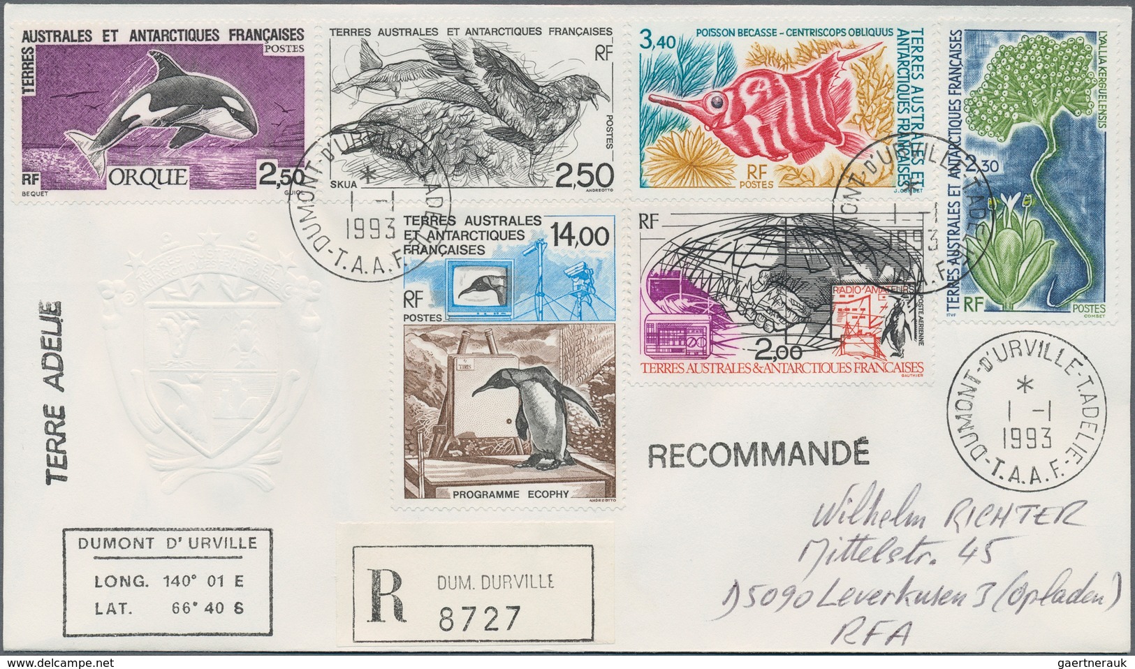 Thematik: Antarktis / antarctic: 1952/2007, sophisticated collection/holding/accumulation of 2000+ t