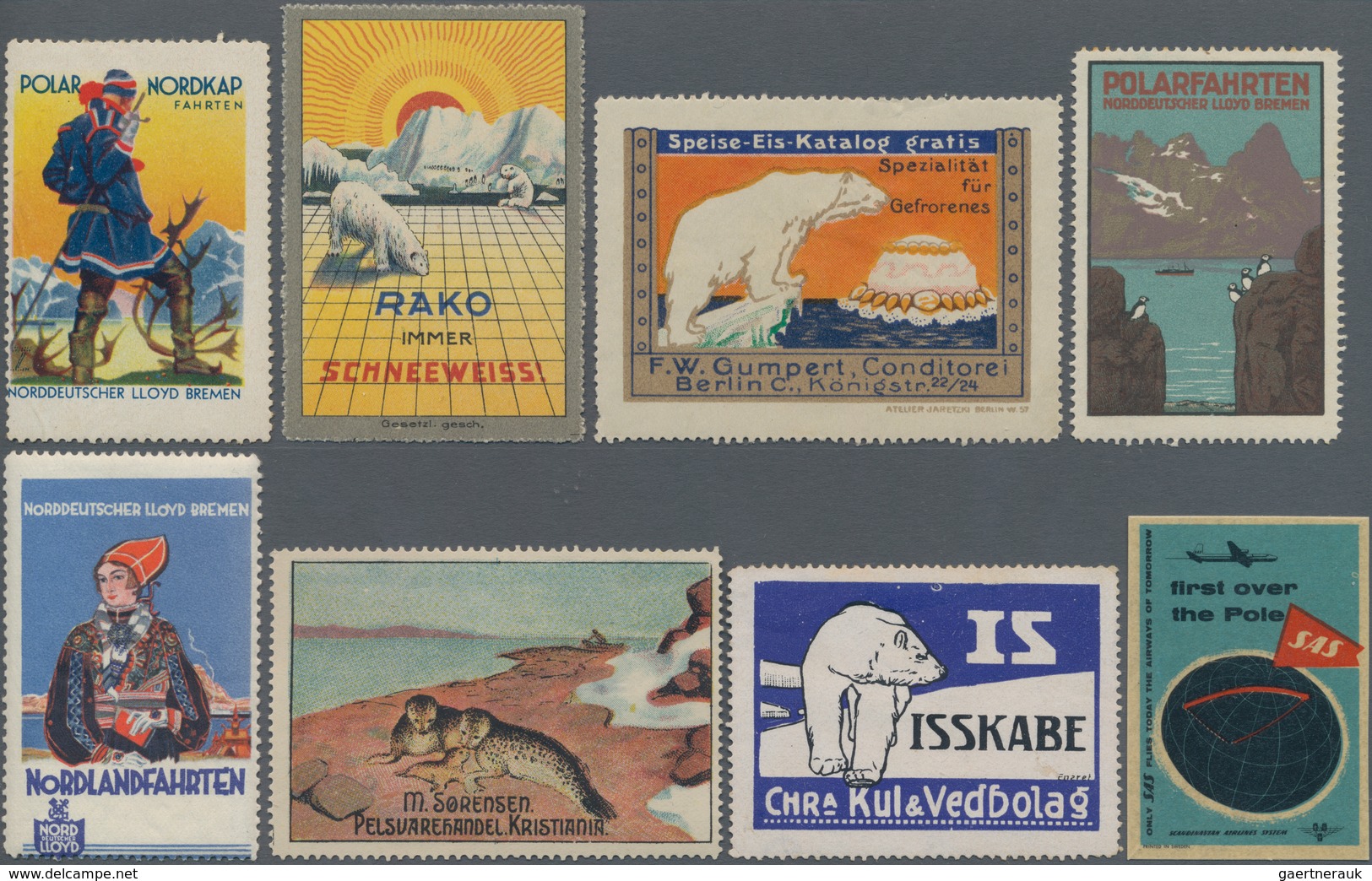 Thematik: Arktis / Arctic: 1910/1960 (ca.), Nordkap/Arctic/North Pole, A Fine Selection Of 50 Relate - Andere & Zonder Classificatie