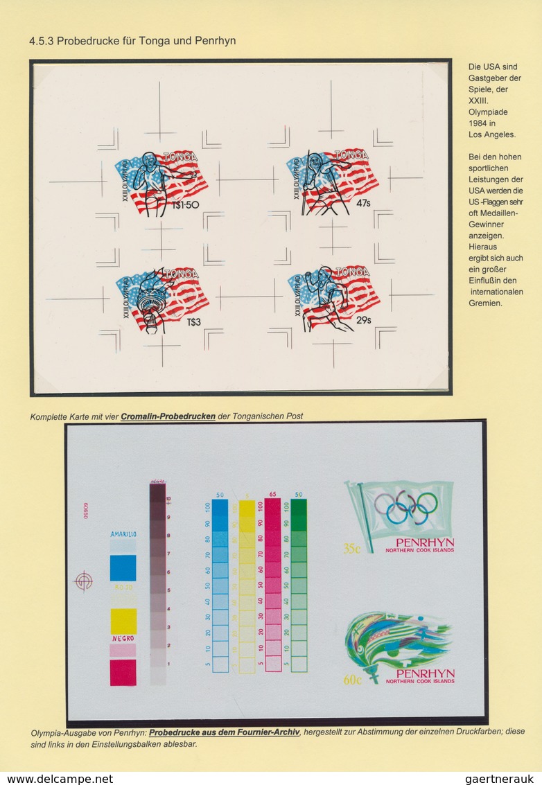 Thematik: Flaggen / flags: 1845/1995 (approx). Elaborated collection FLAGS AND BANNERS - AN UNIVERSA