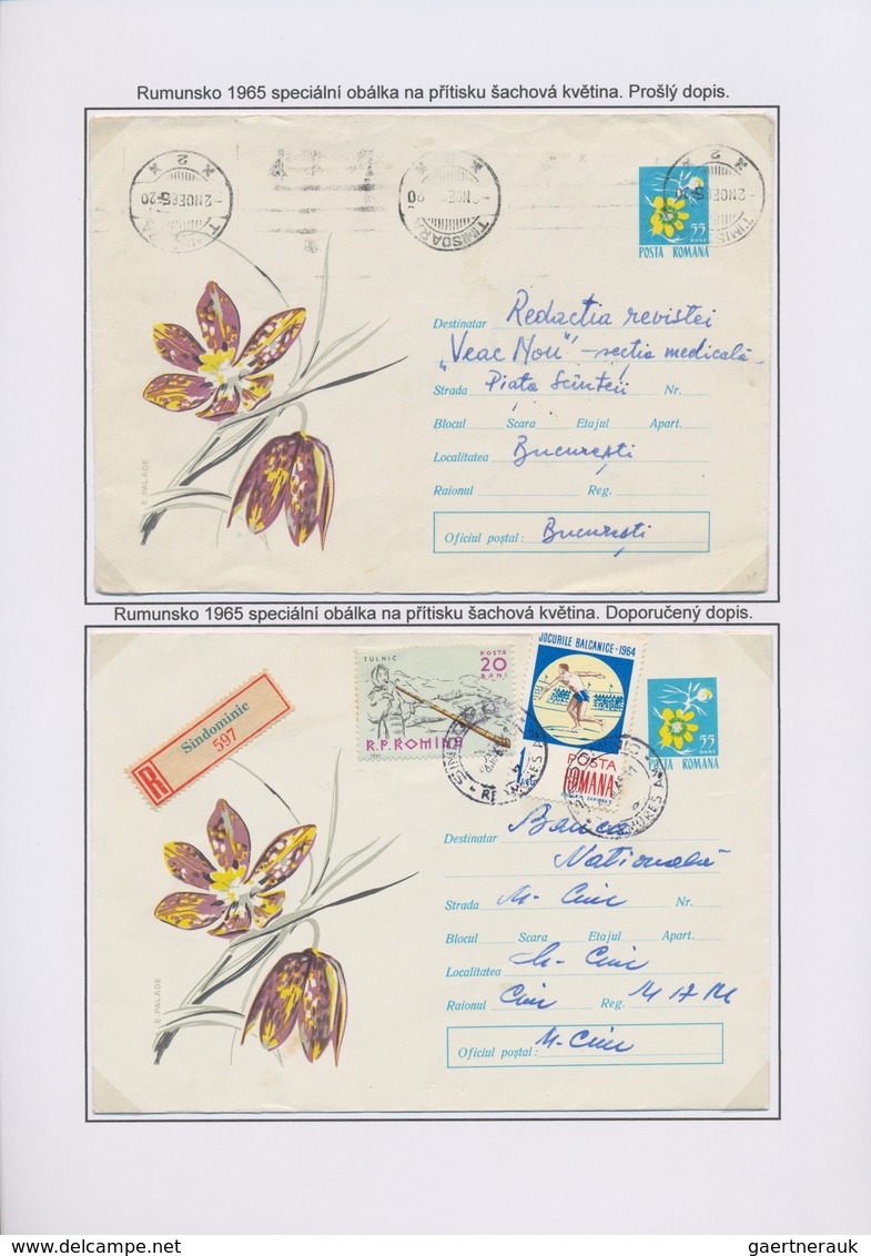 Thematik: Flora, Botanik / Flora, Botany, Bloom: 1963/2014, CHESS FLOWER (Snake's Head, Fritillaria - Autres & Non Classés