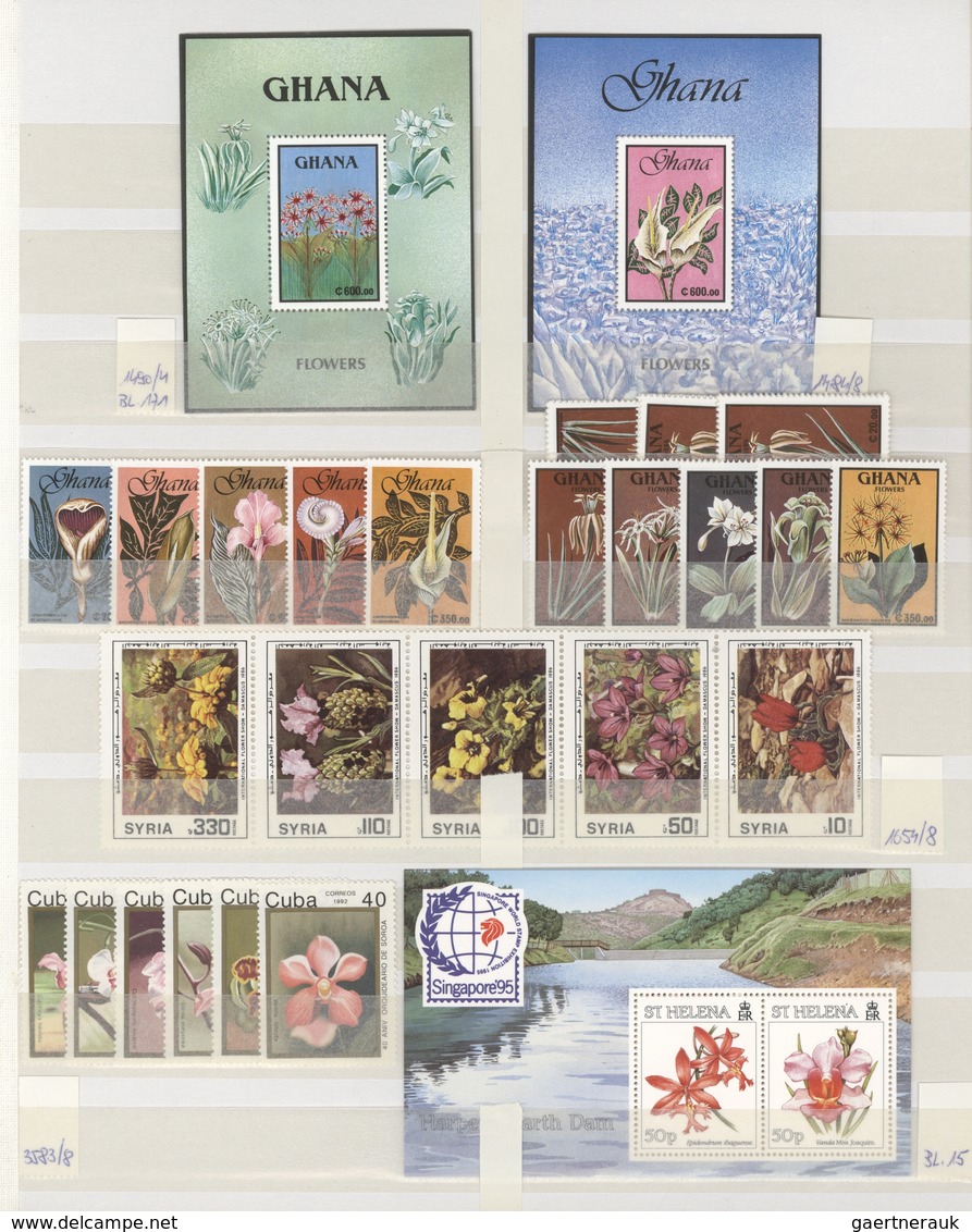 Thematik: Flora, Botanik / Flora, Botany, Bloom: 1990/2000 (ca.), Flowers, Comprehensive MNH Accumul - Otros & Sin Clasificación